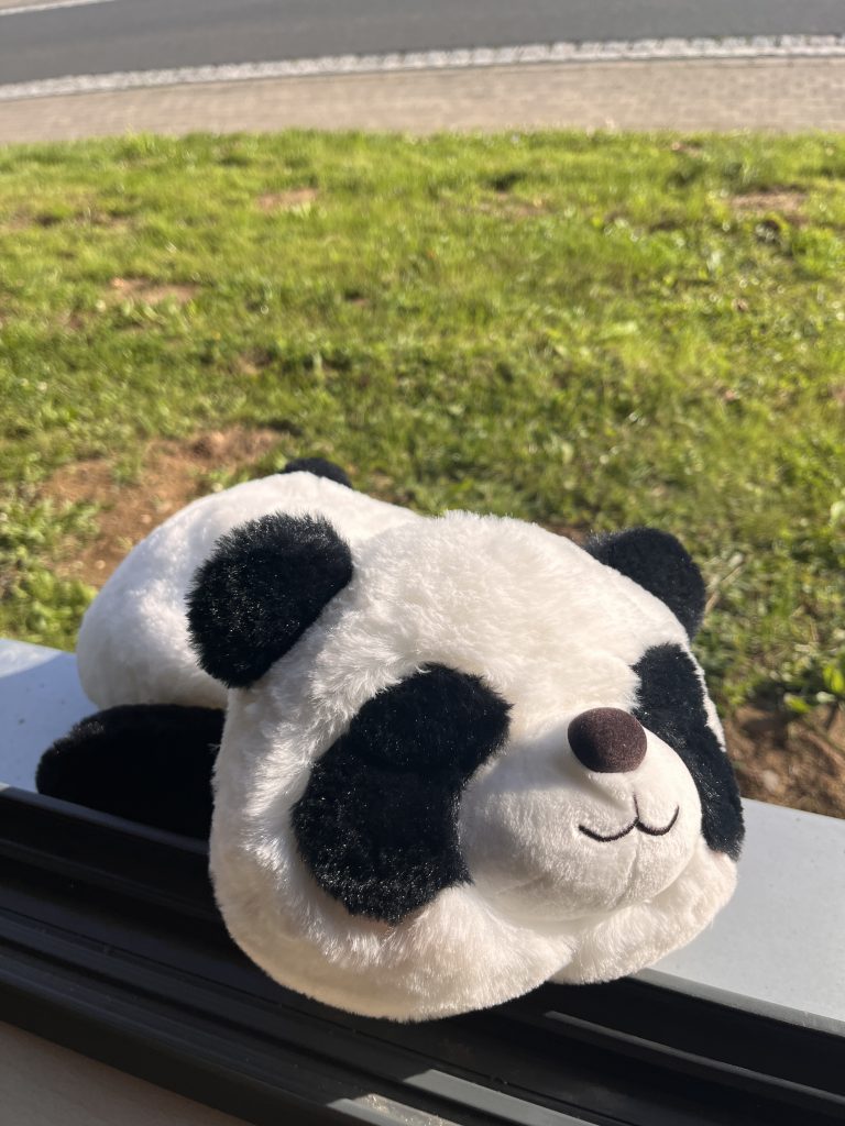 Plüsch-Panda liegend, © 2024, H.Granderath